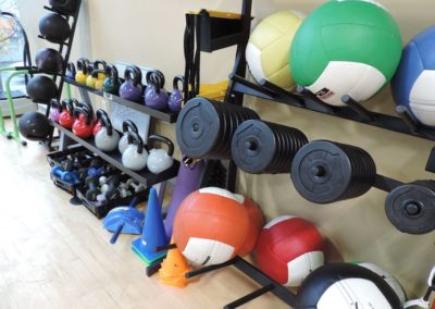 Exercise and Functional Training Equipment